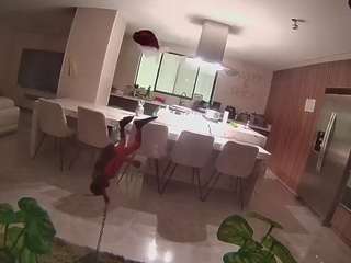 voyeurcam casa salsa fishtank